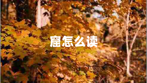 窟怎么读