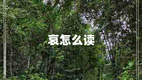 哀怎么读