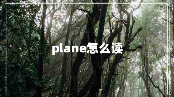 plane怎么读