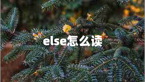else怎么读