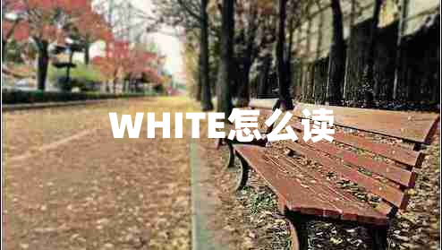 WHITE怎么读