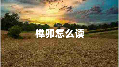 榫卯怎么读