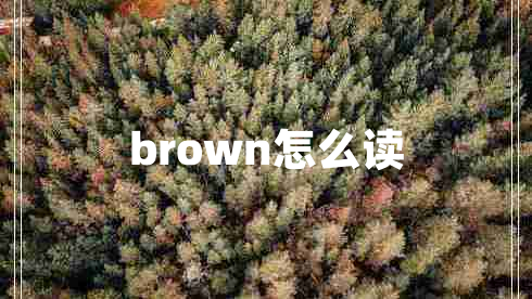 brown怎么读