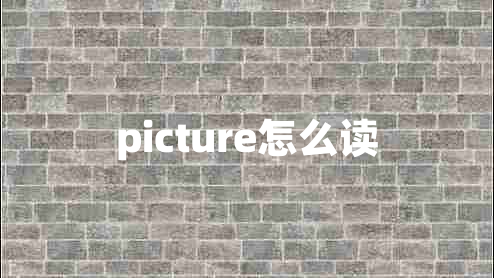 picture怎么读