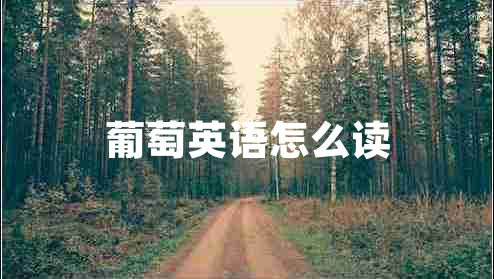 葡萄英语怎么读