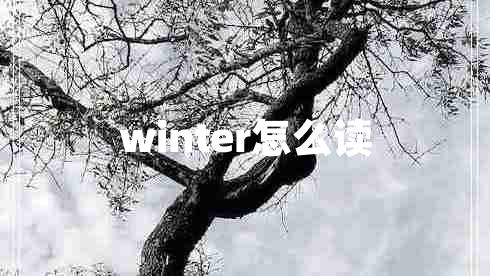 winter怎么读
