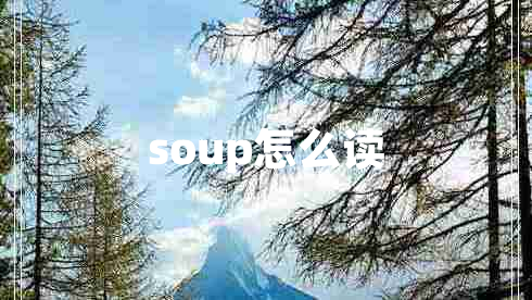 soup怎么读