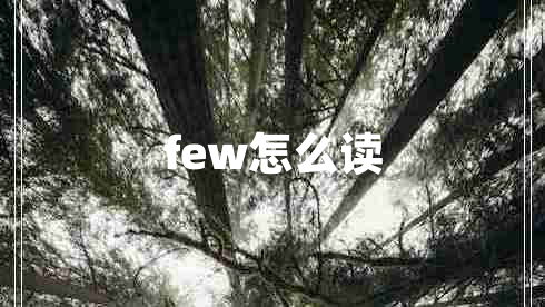 few怎么读