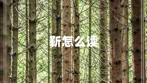靳怎么读