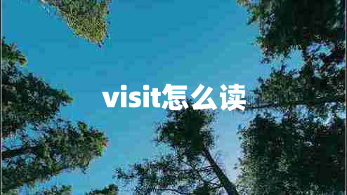 visit怎么读