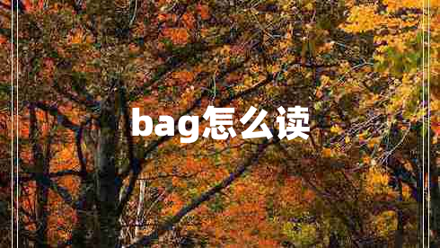 bag怎么读