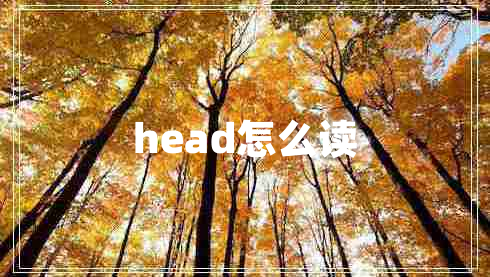 head怎么读