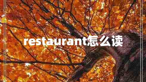 restaurant怎么读