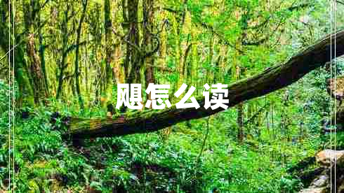 飓怎么读