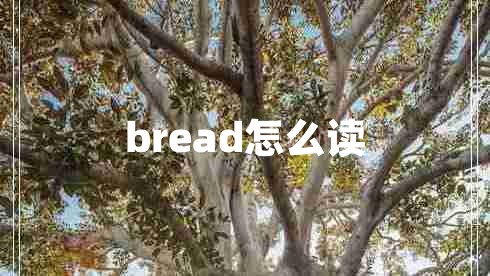 bread怎么读
