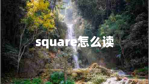 square怎么读