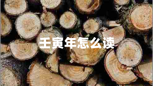 壬寅年怎么读