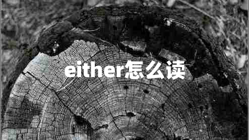 either怎么读