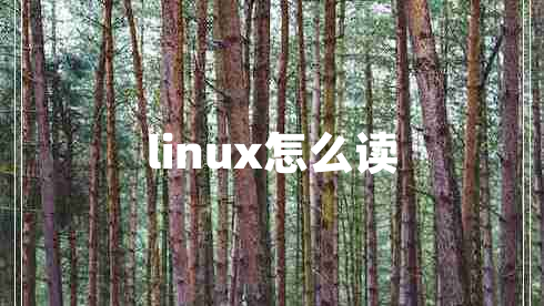 linux怎么读