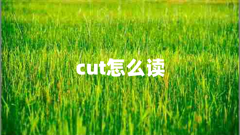 cut怎么读