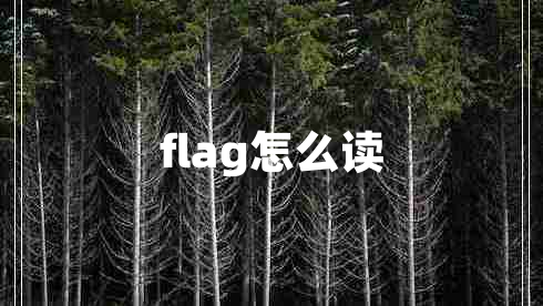 flag怎么读