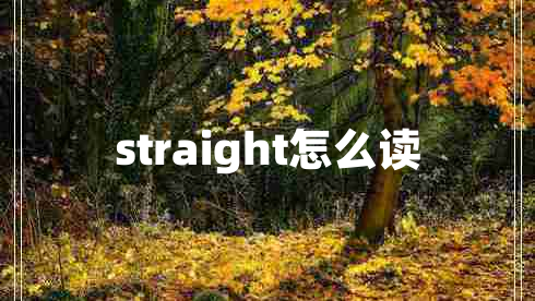 straight怎么读