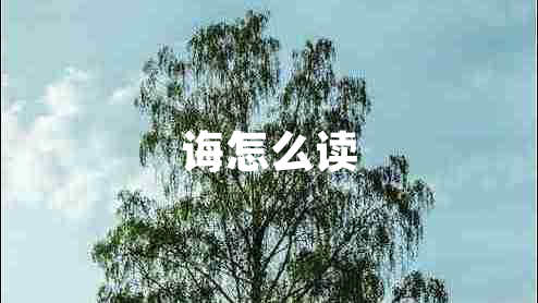 诲怎么读