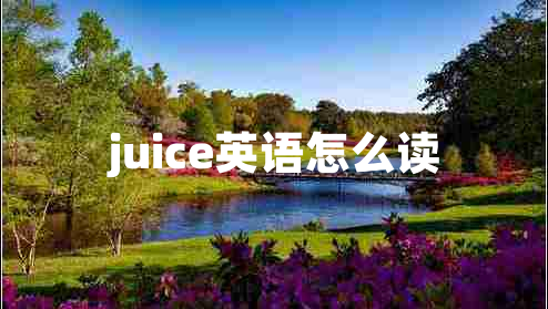juice英语怎么读