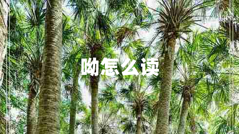 呦怎么读