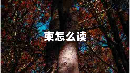 柬怎么读