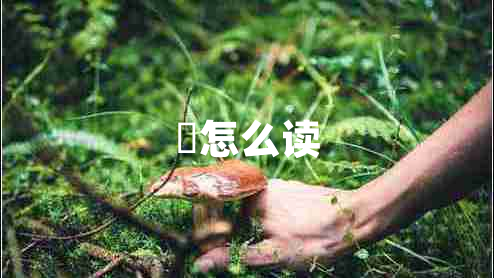 屾怎么读