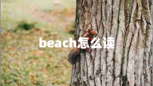 beach怎么读