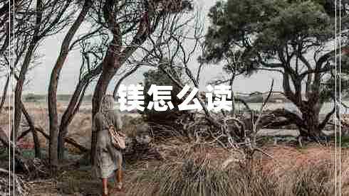 镁怎么读