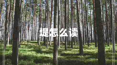 堤怎么读