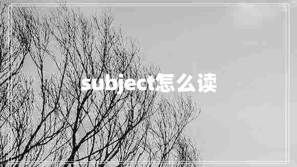 subject怎么读