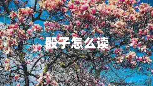 骰子怎么读