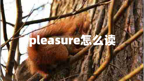 pleasure怎么读