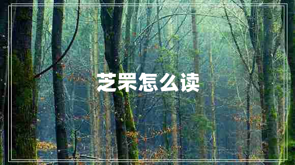 芝罘怎么读