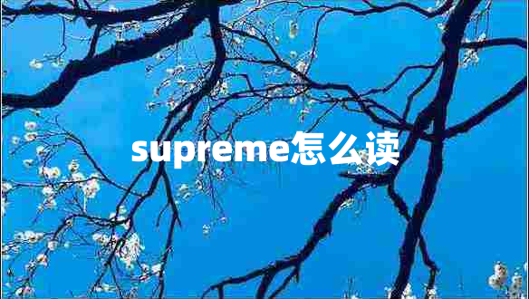 supreme怎么读