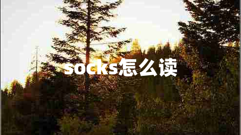socks怎么读