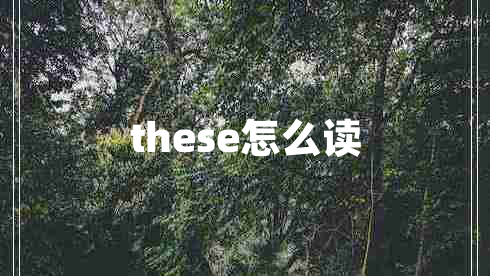 these怎么读