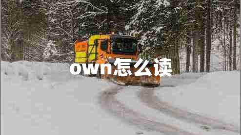 own怎么读