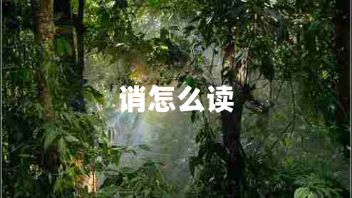 诮怎么读