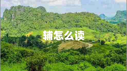 辅怎么读