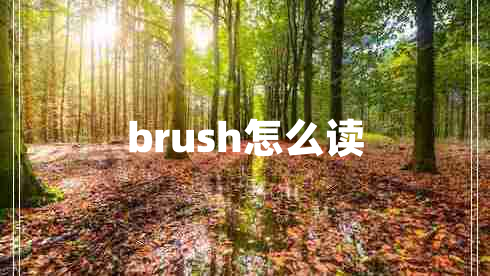 brush怎么读