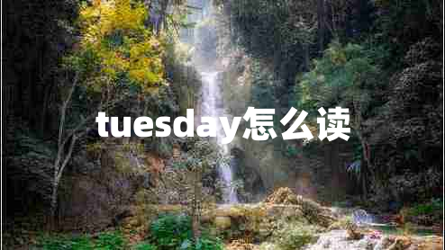 tuesday怎么读