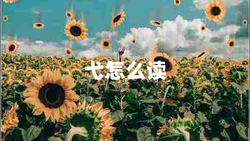 弋怎么读