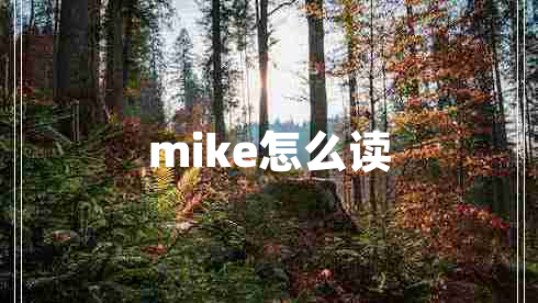 mike怎么读