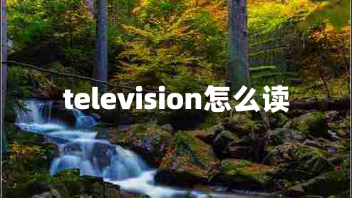 television怎么读