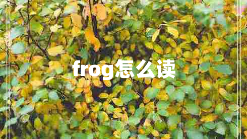 frog怎么读
